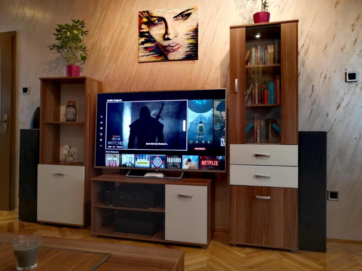 Apartman VILLA Cacak Bagian luar foto